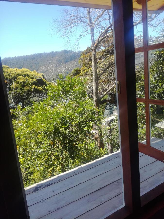 Sincere Wilderness Home Stay Nuwara Eliya Exterior foto
